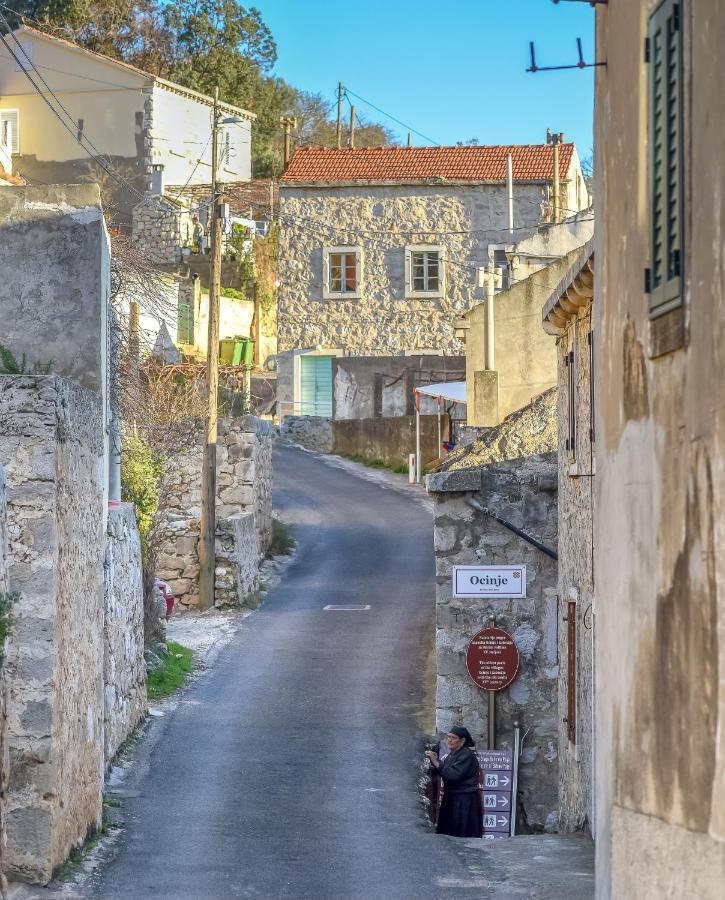 Jully Apartment With Swimming Pool Babino Polje エクステリア 写真